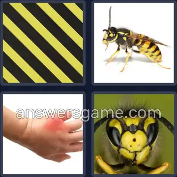 4 Bilder 1 Wort 5 Buchstaben WESPE