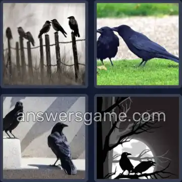 4 Bilder 1 Wort 5 Buchstaben KRÄHE