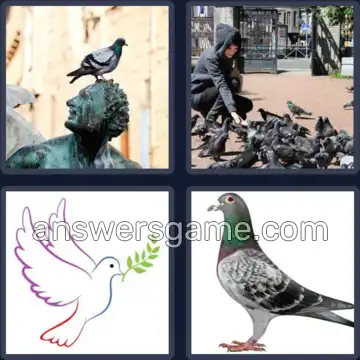 4 Bilder 1 Wort 5 Buchstaben TAUBE