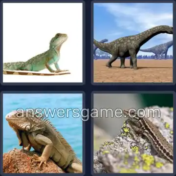 4 Bilder 1 Wort 5 Buchstaben ECHSE