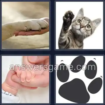 4 Bilder 1 Wort 5 Buchstaben PFOTE