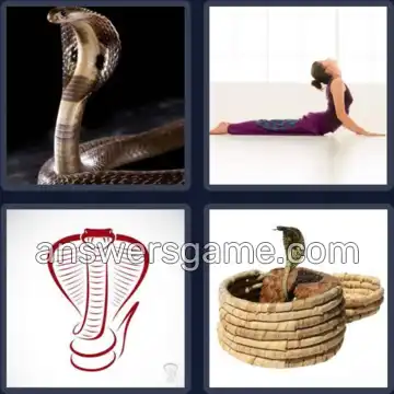 4 Bilder 1 Wort 5 Buchstaben COBRA
