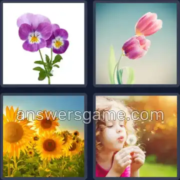 4 Bilder 1 Wort 5 Buchstaben BLUME