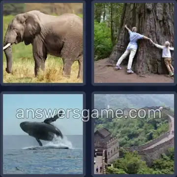 4 Bilder 1 Wort 5 Buchstaben ENORM