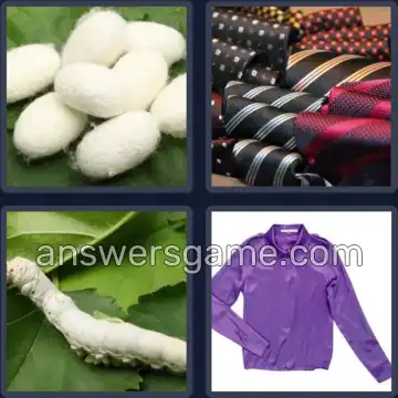 4 Bilder 1 Wort 5 Buchstaben SEIDE