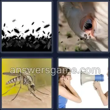 4 Bilder 1 Wort 5 Buchstaben PLAGE