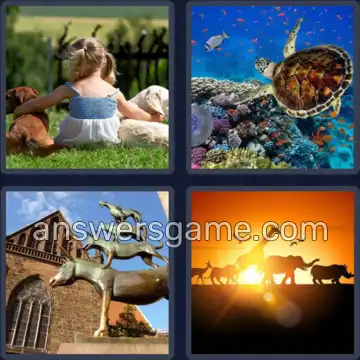 4 Bilder 1 Wort 5 Buchstaben TIERE