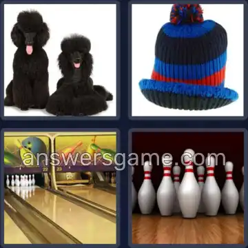 4 Bilder 1 Wort 5 Buchstaben PUDEL