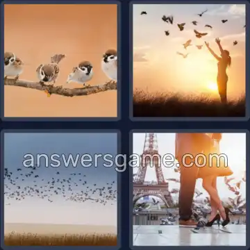 4 Bilder 1 Wort 5 Buchstaben VÖGEL