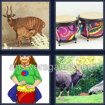 4 Bilder 1 Wort 5 Buchstaben BONGO