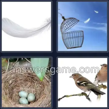 4 Bilder 1 Wort 5 Buchstaben VOGEL
