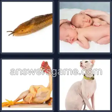 4 Bilder 1 Wort 5 Buchstaben NACKT