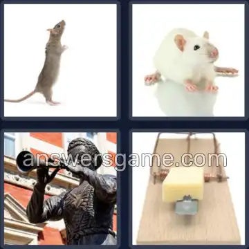 4 Bilder 1 Wort 5 Buchstaben RATTE