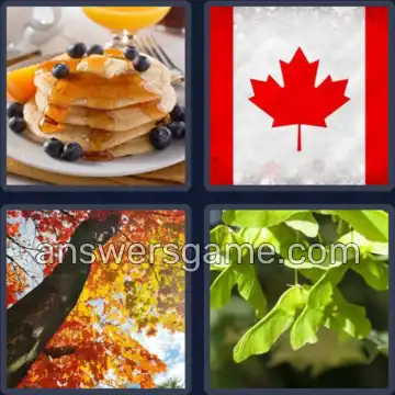 4 Bilder 1 Wort 5 Buchstaben AHORN