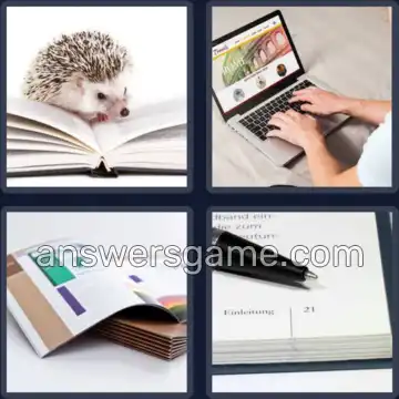 4 Bilder 1 Wort 5 Buchstaben SEITE