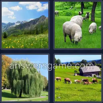 4 Bilder 1 Wort 5 Buchstaben WEIDE