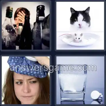 4 Bilder 1 Wort 5 Buchstaben KATER