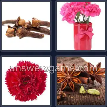 4 Bilder 1 Wort 5 Buchstaben NELKE