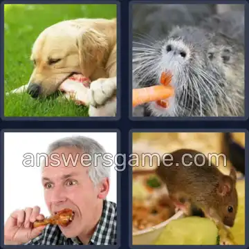 4 Bilder 1 Wort 5 Buchstaben NAGEN