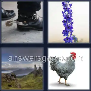 4 Bilder 1 Wort 5 Buchstaben SPORN