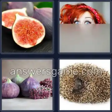 4 Bilder 1 Wort 5 Buchstaben FEIGE