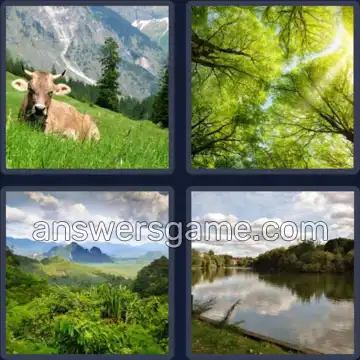4 Bilder 1 Wort 5 Buchstaben NATUR