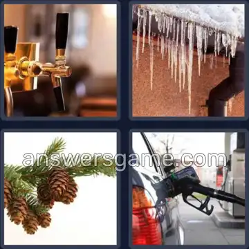 4 Bilder 1 Wort 6 Buchstaben ZAPFEN