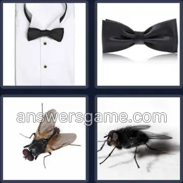 4 Bilder 1 Wort 6 Buchstaben FLIEGE