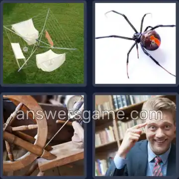 4 Bilder 1 Wort 6 Buchstaben SPINNE