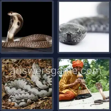 4 Bilder 1 Wort 6 Buchstaben NATTER