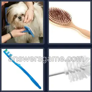 4 Bilder 1 Wort 6 Buchstaben BÜRSTE