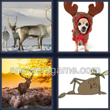 4 Bilder 1 Wort 6 Buchstaben GEWEIH