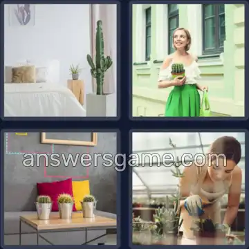 4 Bilder 1 Wort 6 Buchstaben KAKTUS