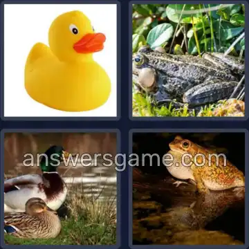 4 Bilder 1 Wort 6 Buchstaben QUAKEN