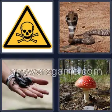 4 Bilder 1 Wort 6 Buchstaben GIFTIG