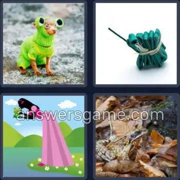 4 Bilder 1 Wort 6 Buchstaben FROSCH