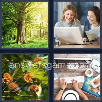 4 Bilder 1 Wort 6 Buchstaben BUCHEN