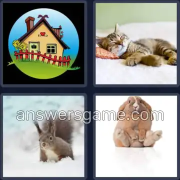 4 Bilder 1 Wort 6 Buchstaben PUTZIG