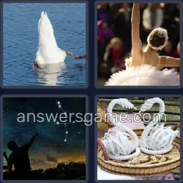 4 Bilder 1 Wort 6 Buchstaben SCHWAN