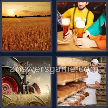 4 Bilder 1 Wort 6 Buchstaben WEIZEN