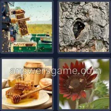 4 Bilder 1 Wort 6 Buchstaben BIENEN
