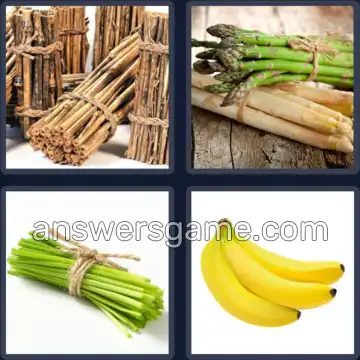 4 Bilder 1 Wort 6 Buchstaben BÜNDEL