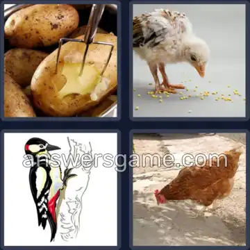 4 Bilder 1 Wort 6 Buchstaben PICKEN