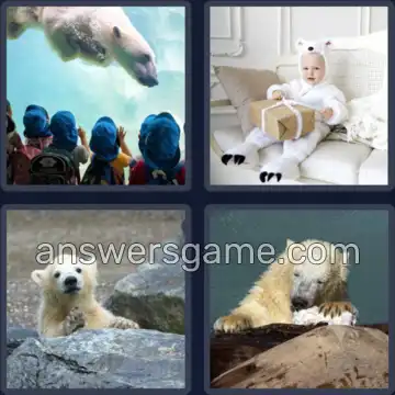 4 Bilder 1 Wort 6 Buchstaben EISBÄR