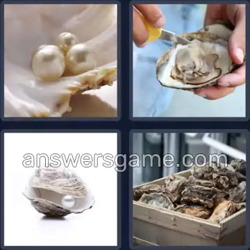 4 Bilder 1 Wort 6 Buchstaben AUSTER