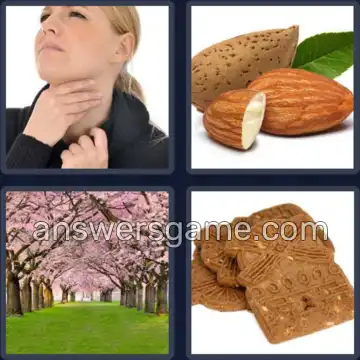 4 Bilder 1 Wort 6 Buchstaben MANDEL