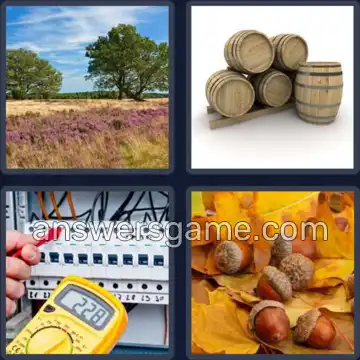 4 Bilder 1 Wort 6 Buchstaben EICHEN