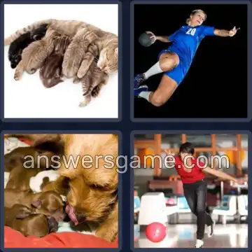 4 Bilder 1 Wort 6 Buchstaben WERFEN