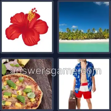 4 Bilder 1 Wort 6 Buchstaben HAWAII