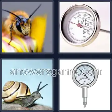 4 Bilder 1 Wort 6 Buchstaben FÜHLER